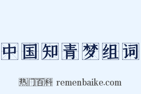 中国知青梦组词是什么意思的图片
